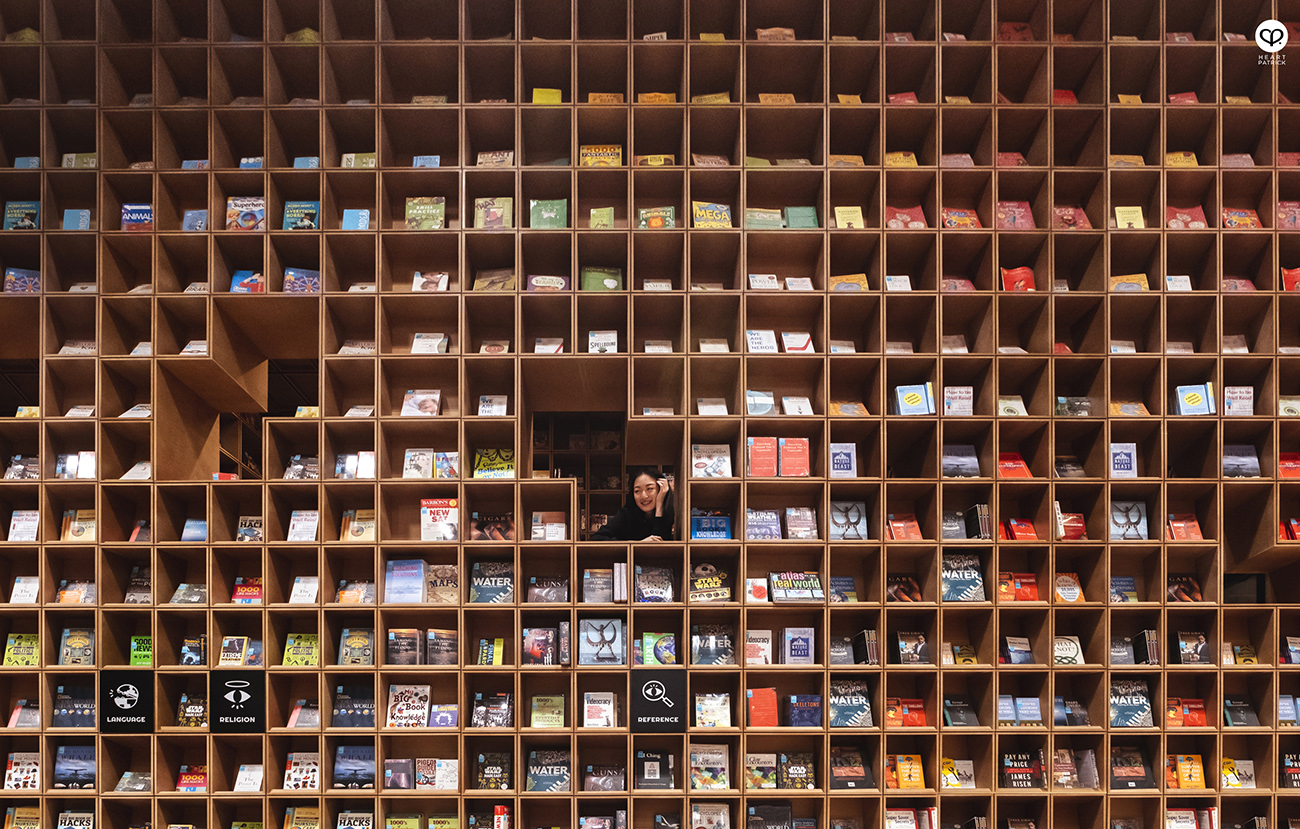 heartpatrick portraits centrio aerial dancer noah yap