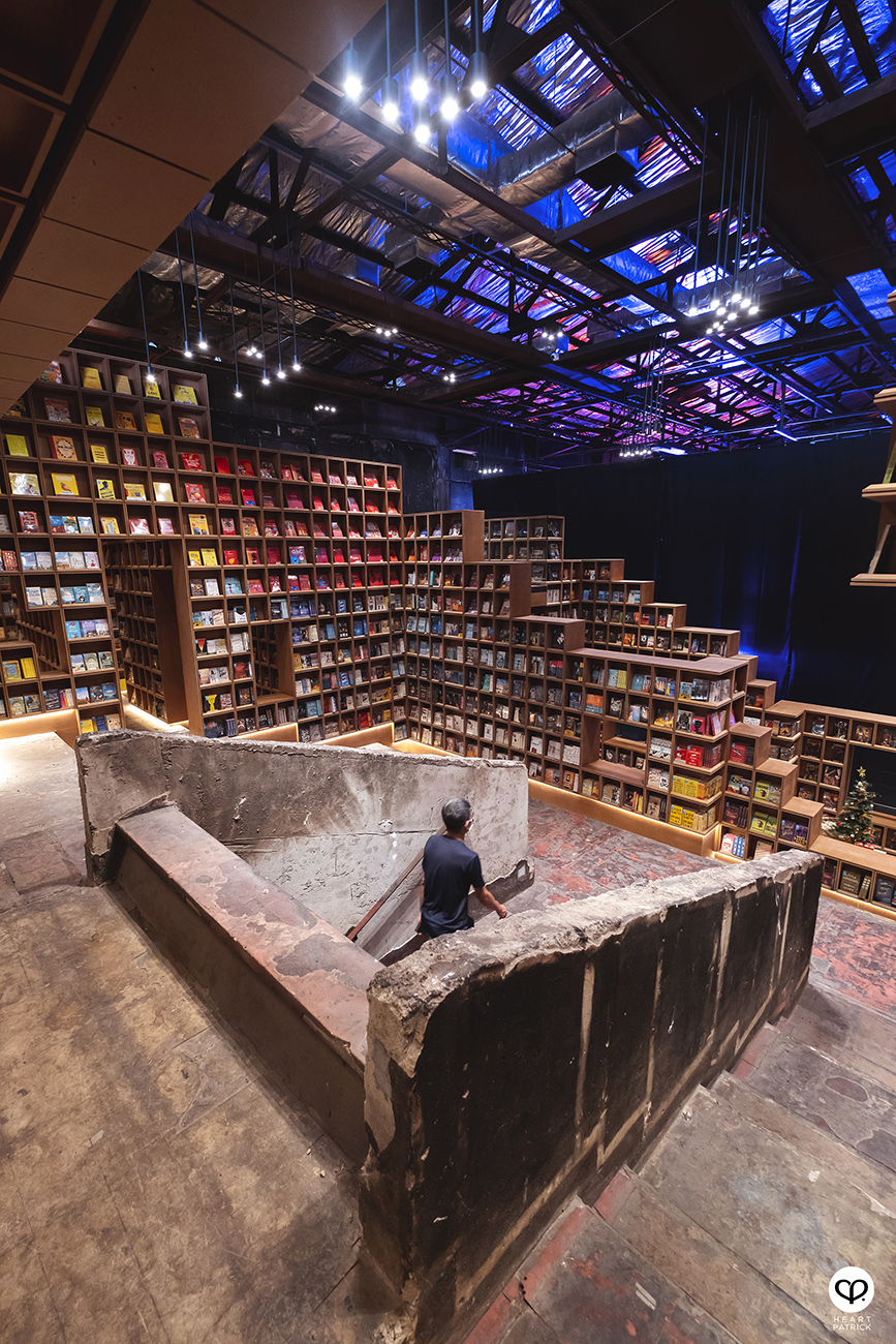 heartpatrick portraits centrio aerial dancer noah yap