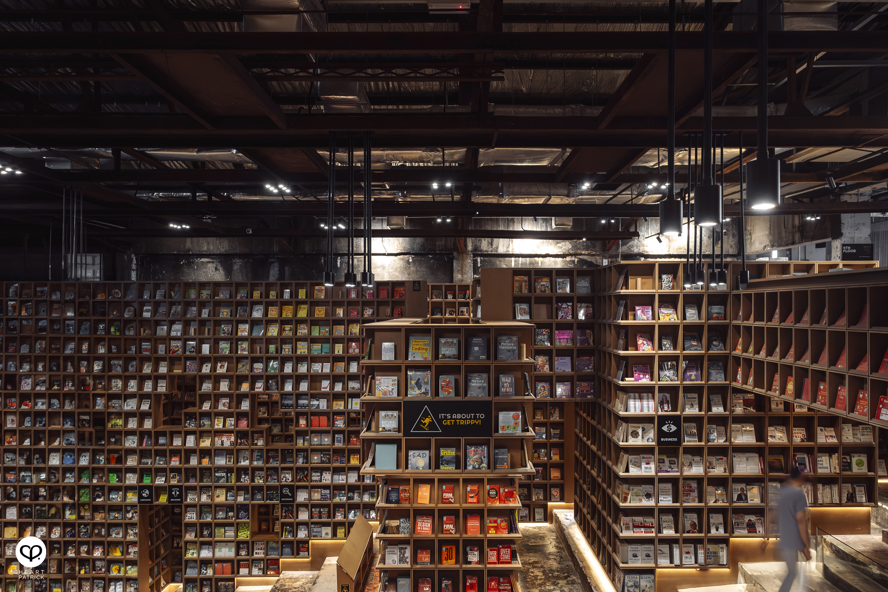 heartpatrick portraits centrio aerial dancer noah yap