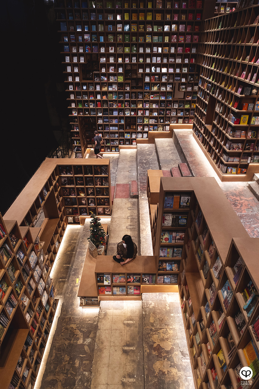 heartpatrick portraits centrio aerial dancer noah yap
