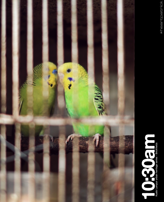 heartpatrick brickfields little india kuala lumpur urban heritage