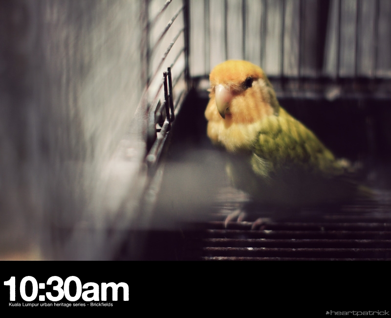 heartpatrick brickfields little india kuala lumpur urban heritage