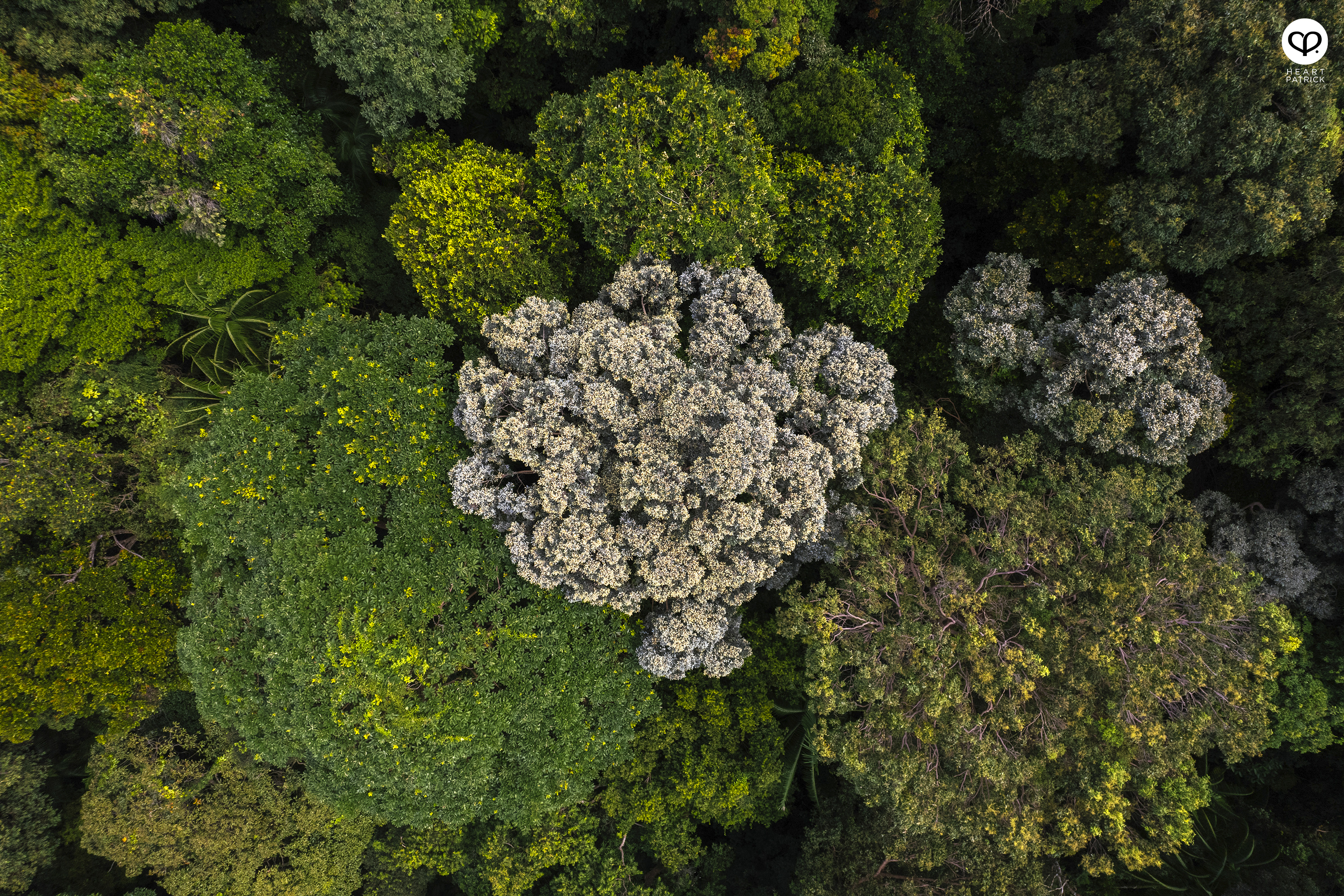 heartpatrick hiking photography bukit batu putih tanjung tuan melaka