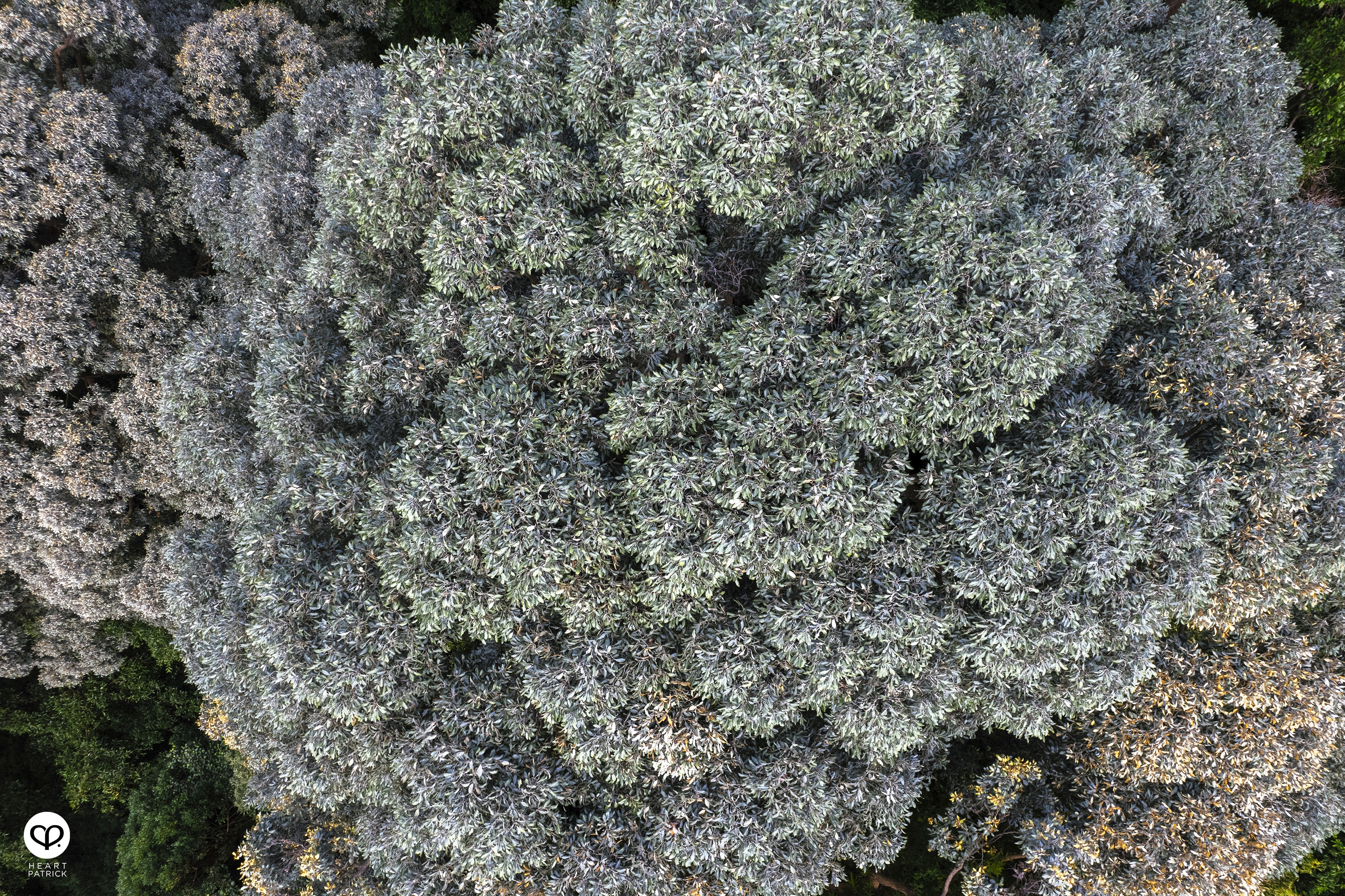 heartpatrick hiking photography bukit batu putih tanjung tuan melaka