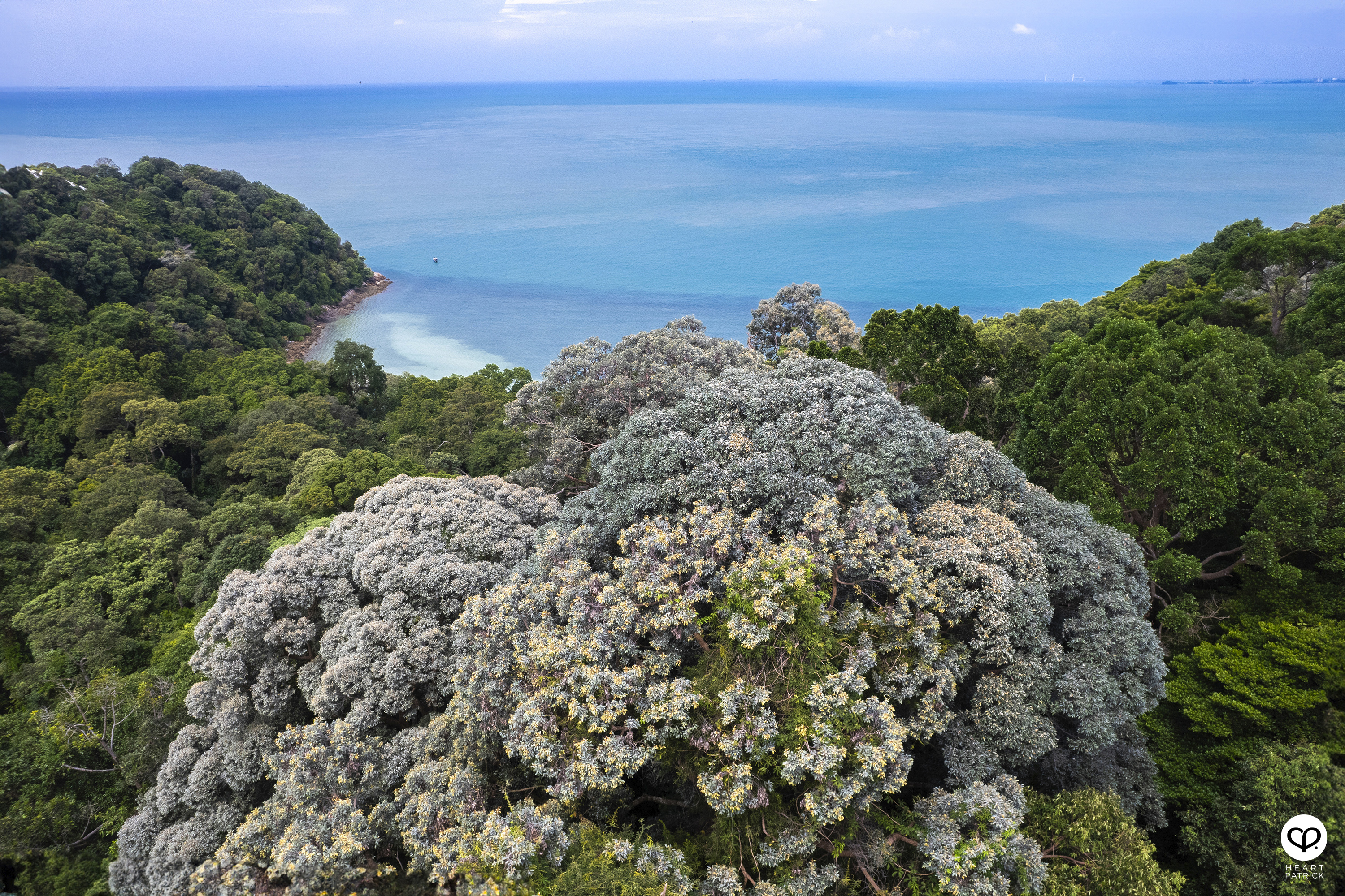 heartpatrick hiking photography bukit batu putih tanjung tuan melaka