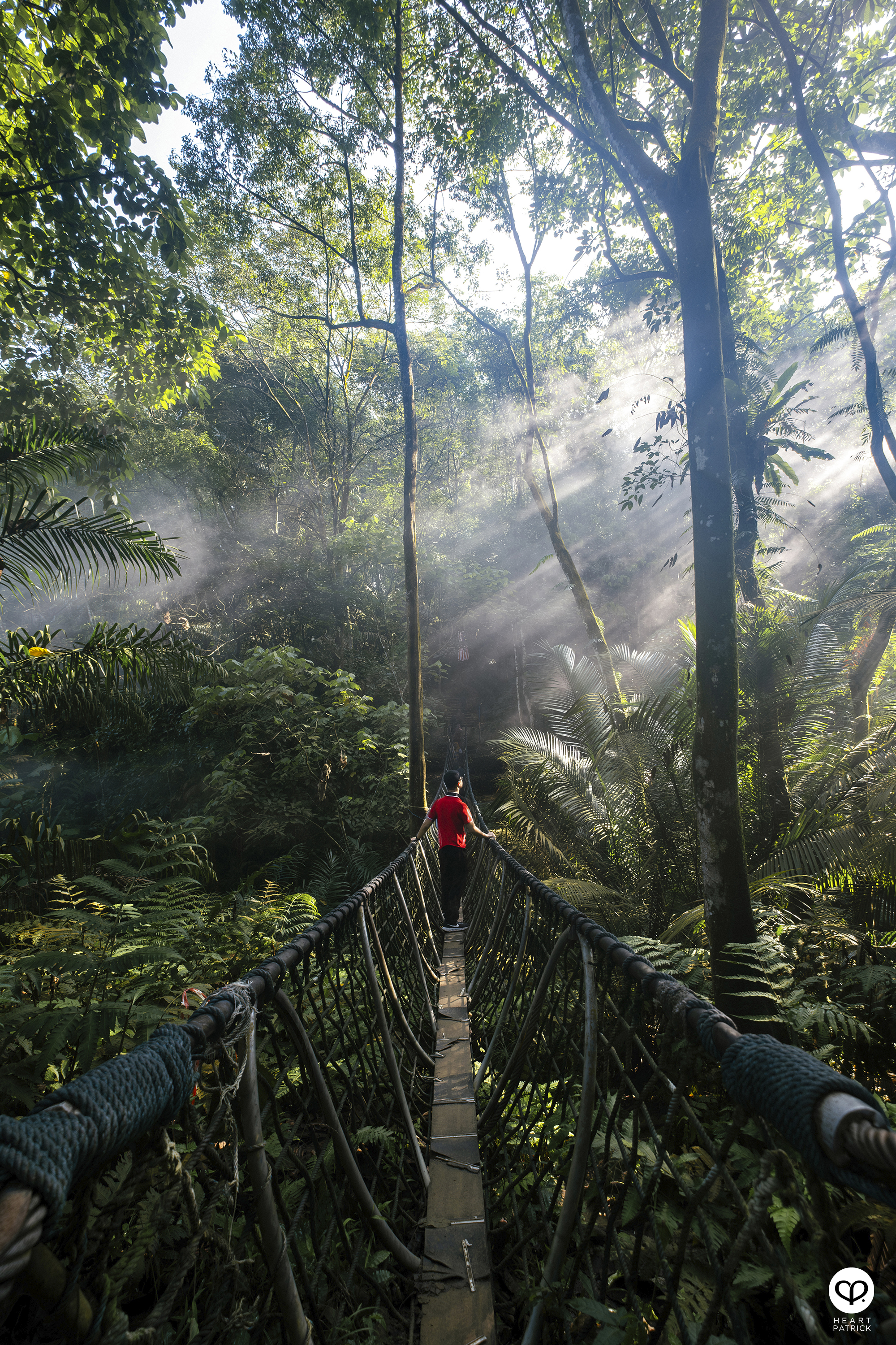 heartpatrick urban exploring bukit kerinchi bukit gasing hiking park