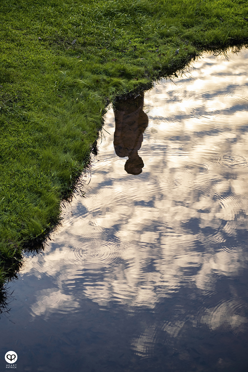 heartpatrick urban exploring bukit kerinchi bukit gasing hiking park