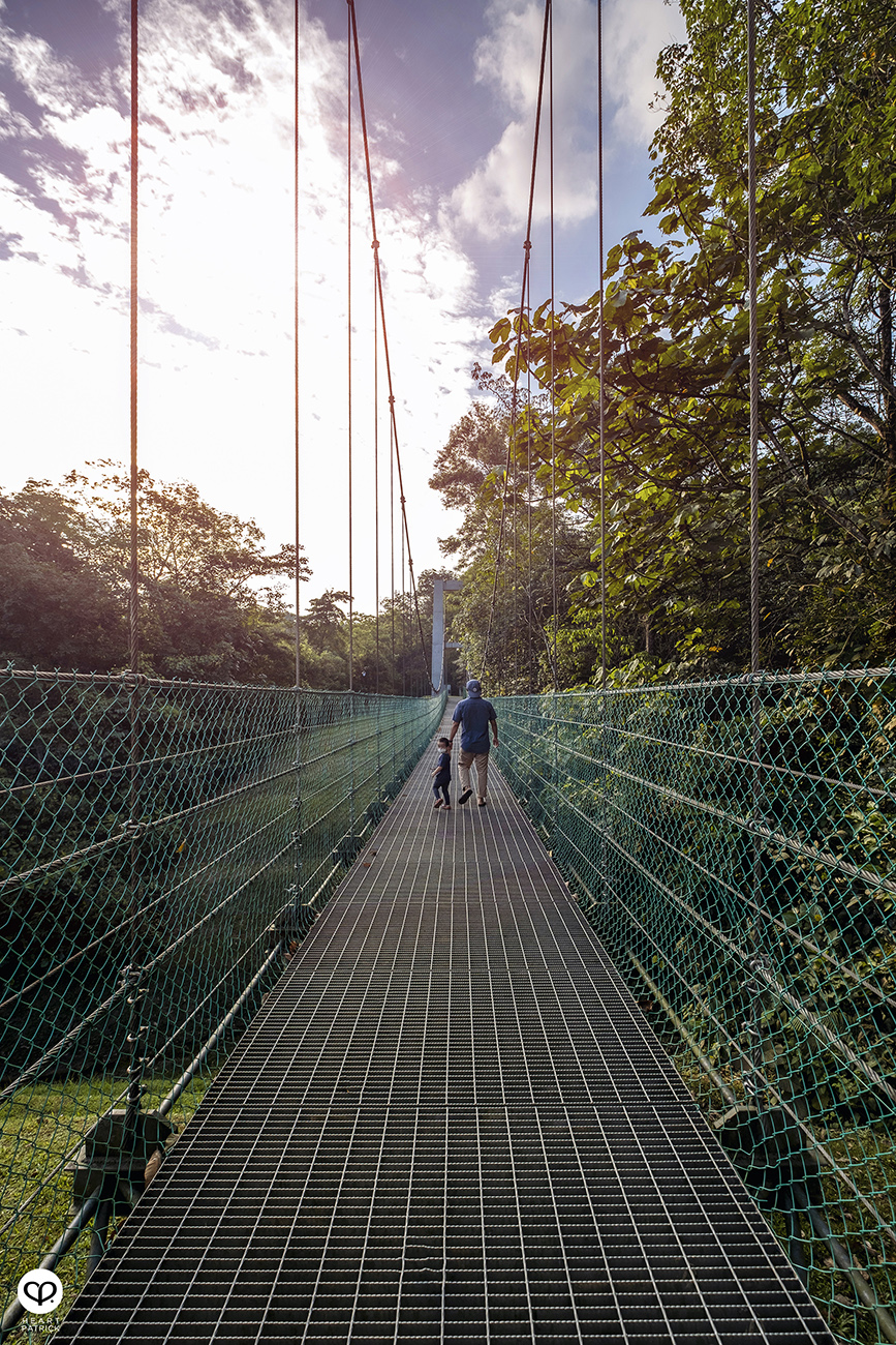 heartpatrick urban exploring bukit kerinchi bukit gasing hiking park