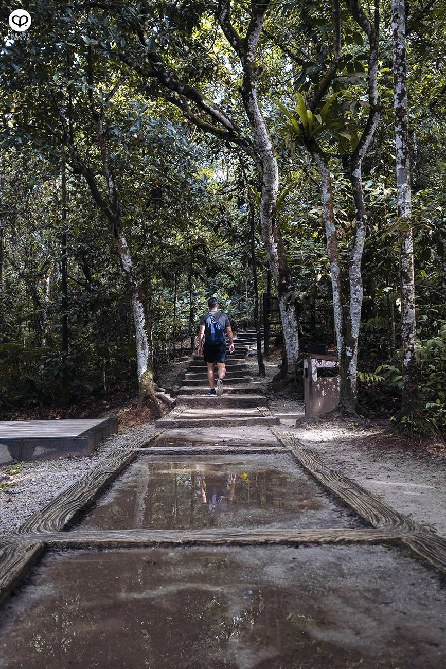 heartpatrick urban exploring bukit kerinchi bukit gasing hiking park