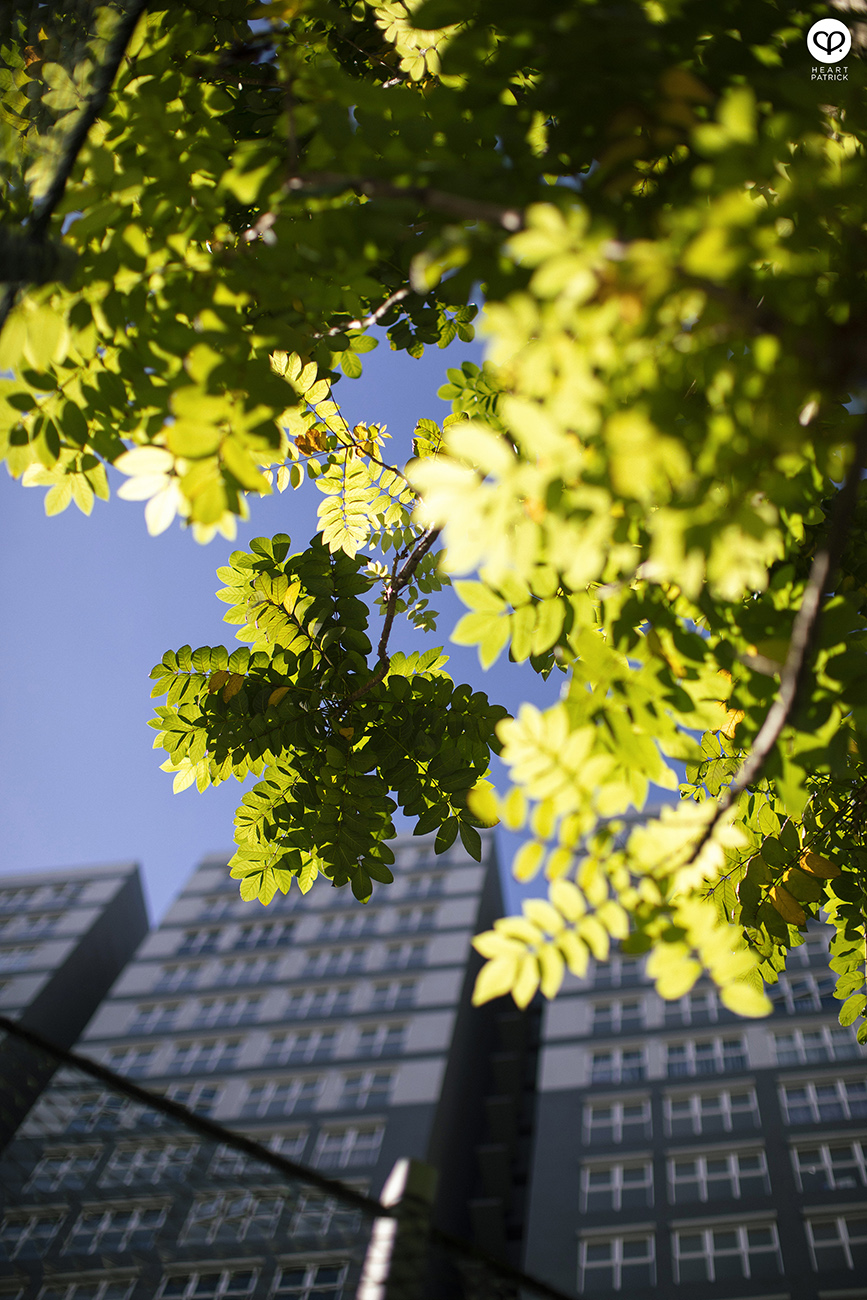 heartpatrick architecture property condiminium serviced apartment photography canopy hills pacific uniland
