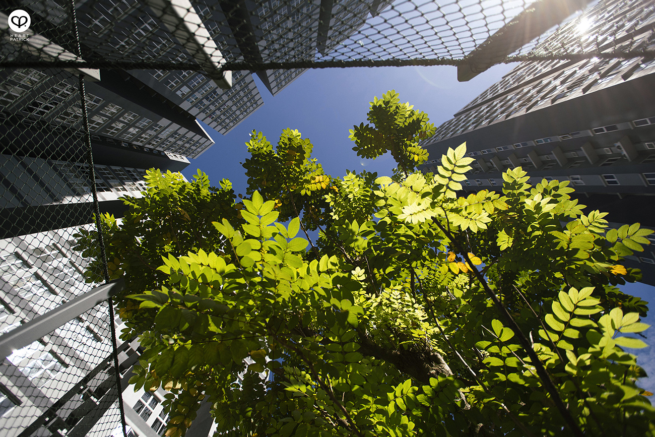 heartpatrick architecture property condiminium serviced apartment photography canopy hills pacific uniland