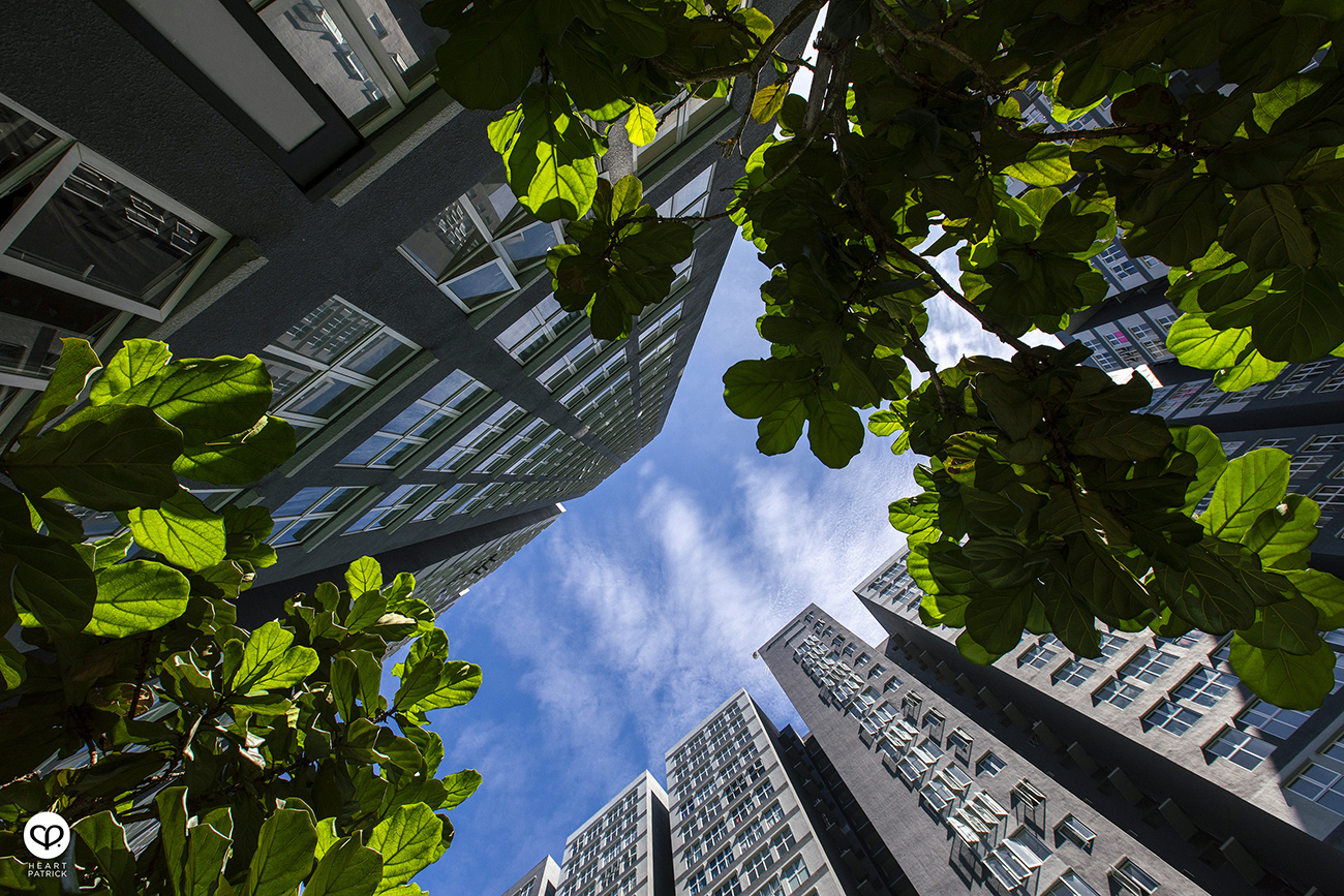 heartpatrick architecture property condiminium serviced apartment photography canopy hills pacific uniland