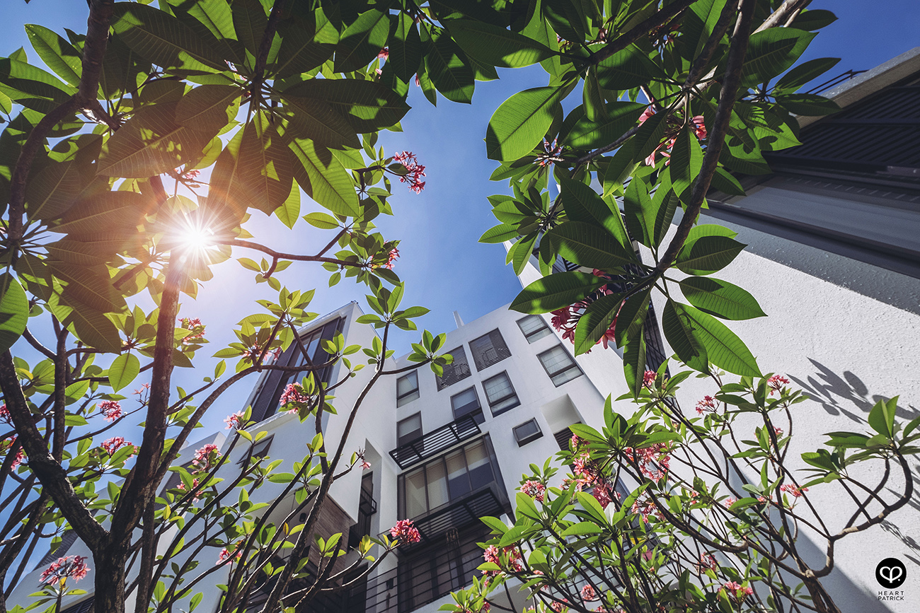 heartpatrick architecture architectural property ytl soho centrio pantai hillpark