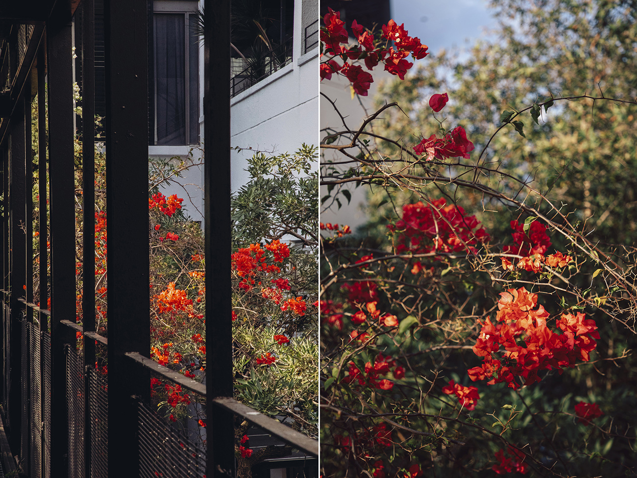 heartpatrick architecture architectural property ytl soho centrio pantai hillpark