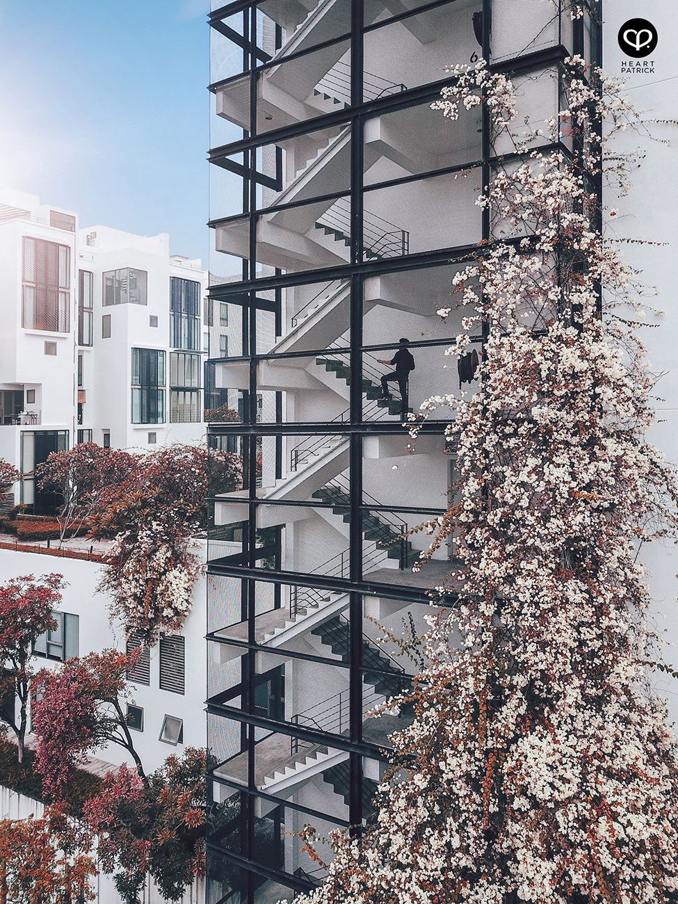 heartpatrick architecture architectural property ytl soho centrio pantai hillpark