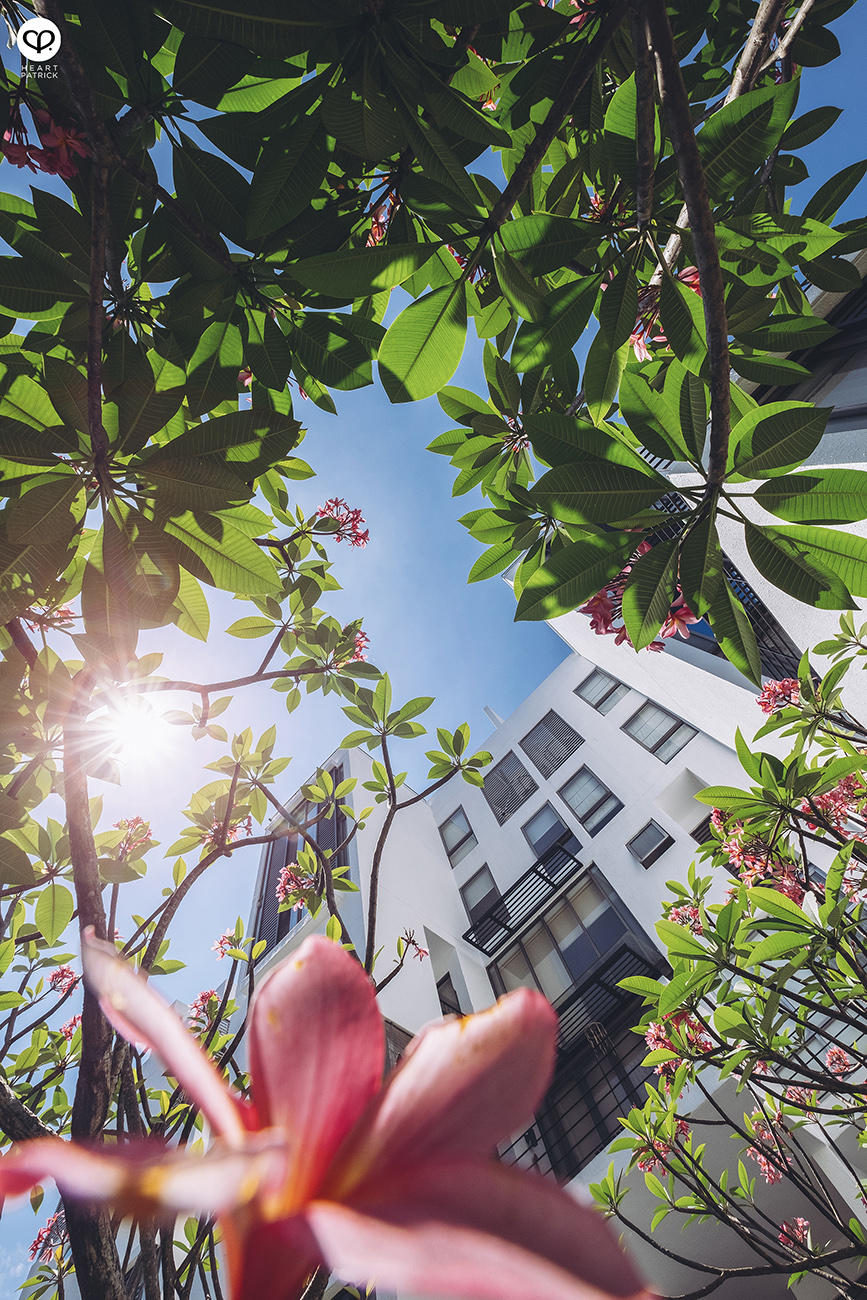 heartpatrick architecture architectural property ytl soho centrio pantai hillpark