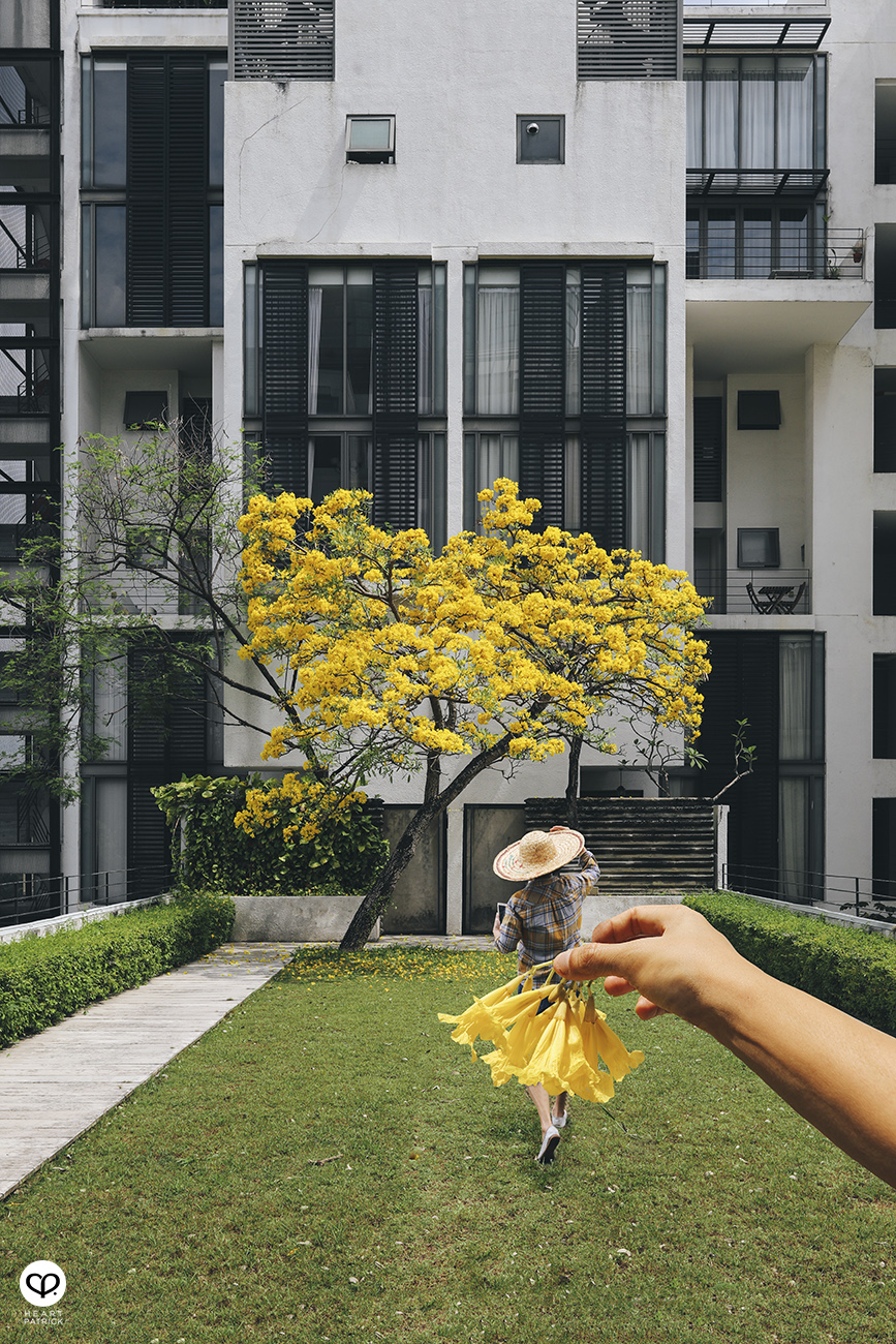 heartpatrick architecture architectural property ytl soho centrio pantai hillpark