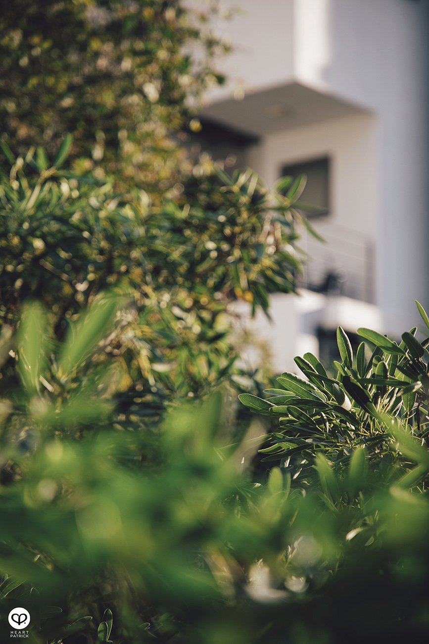 heartpatrick architecture architectural property ytl soho centrio pantai hillpark