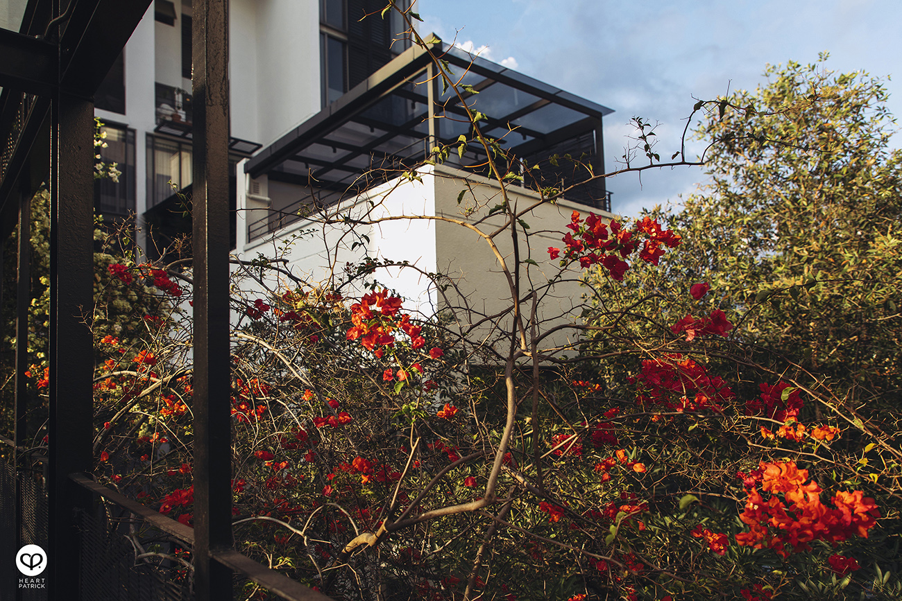 heartpatrick architecture architectural property ytl soho centrio pantai hillpark