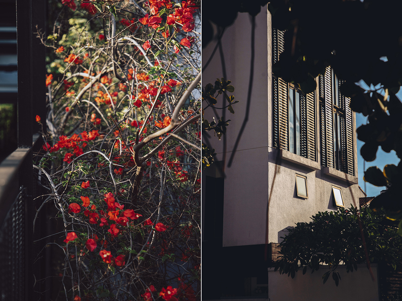 heartpatrick architecture architectural property ytl soho centrio pantai hillpark