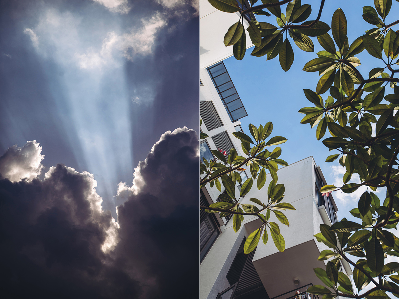 heartpatrick architecture architectural property ytl soho centrio pantai hillpark