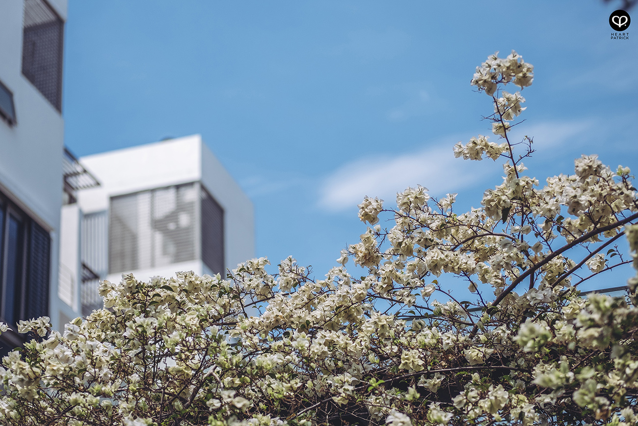 heartpatrick architecture architectural property ytl soho centrio pantai hillpark