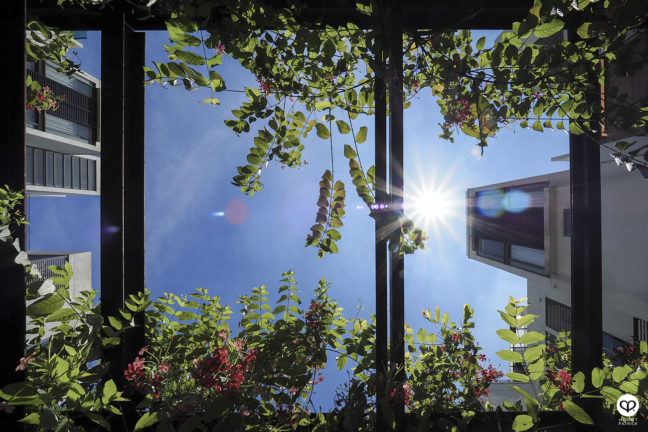 heartpatrick architecture architectural property ytl soho centrio pantai hillpark