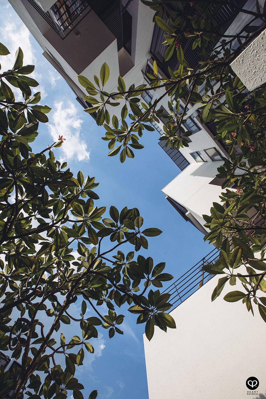 heartpatrick architecture architectural property ytl soho centrio pantai hillpark