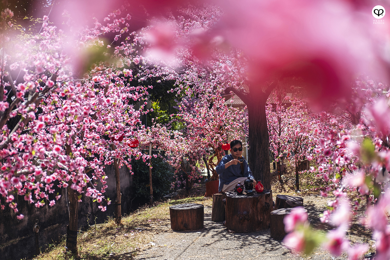 heartpatrick chinese new year 2023 celebration machap malacca melaka