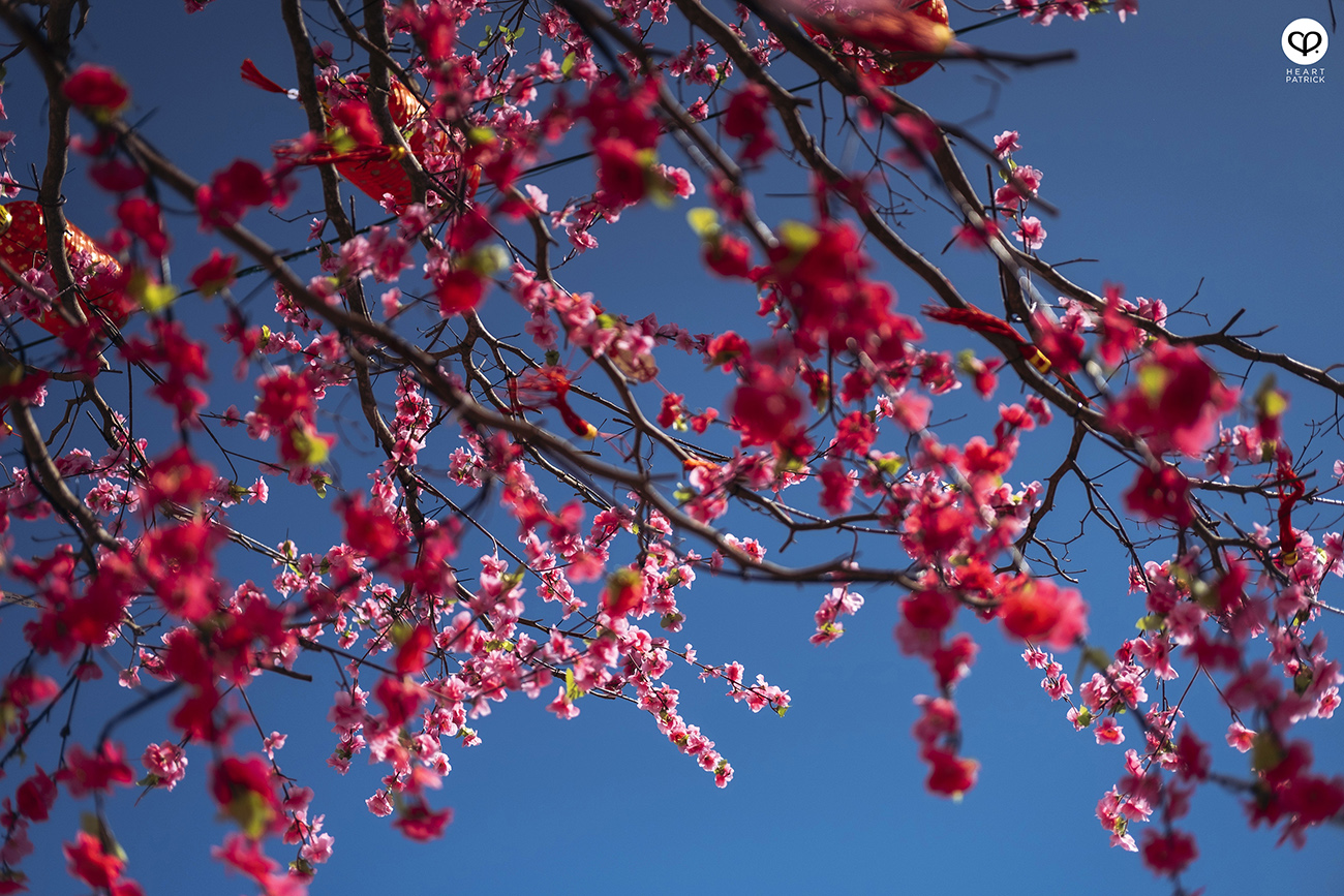 heartpatrick chinese new year 2023 celebration machap malacca melaka