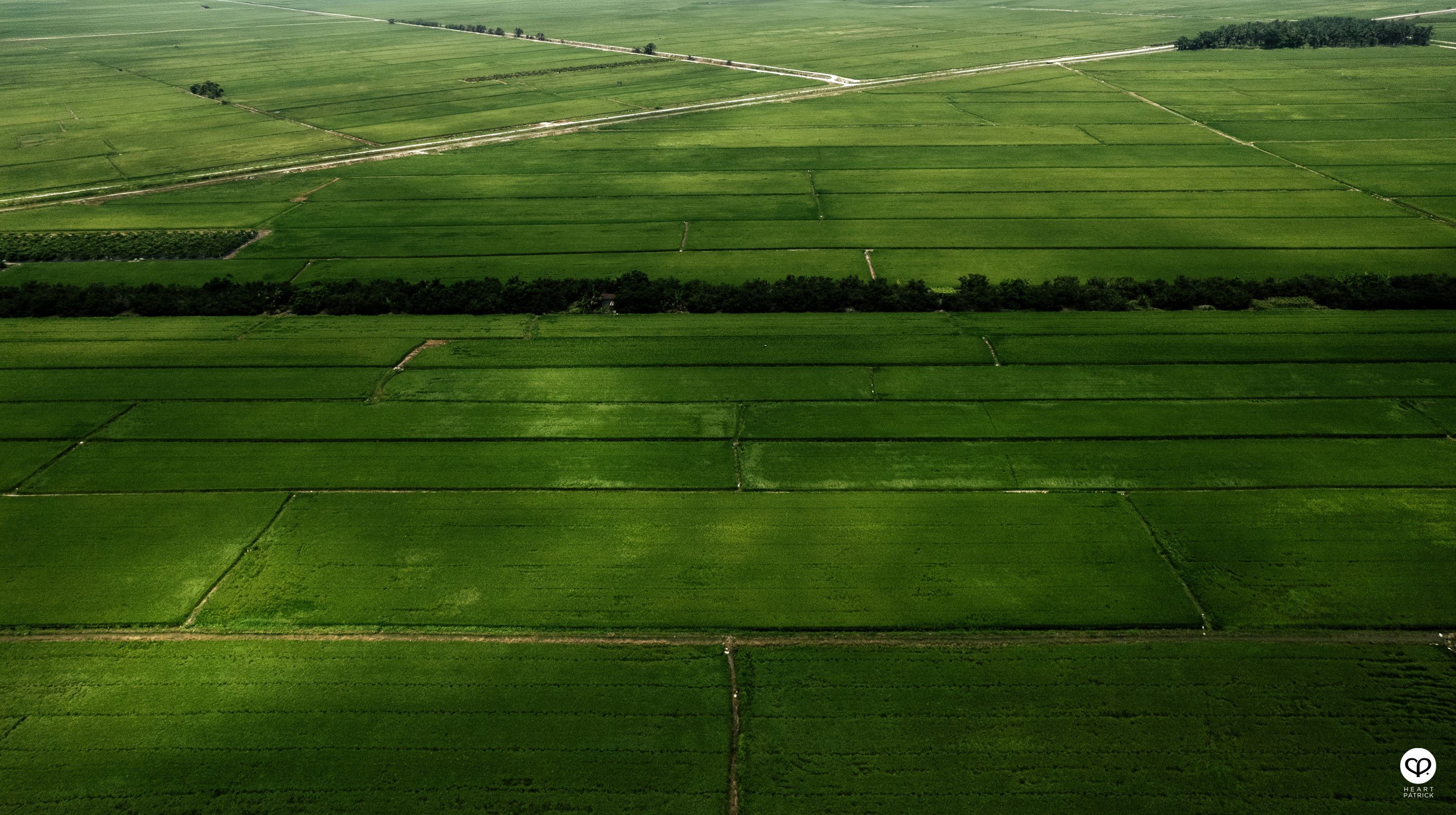 heartpatrick heritage smalltown exploring malaysia chui chak paddy fields perak