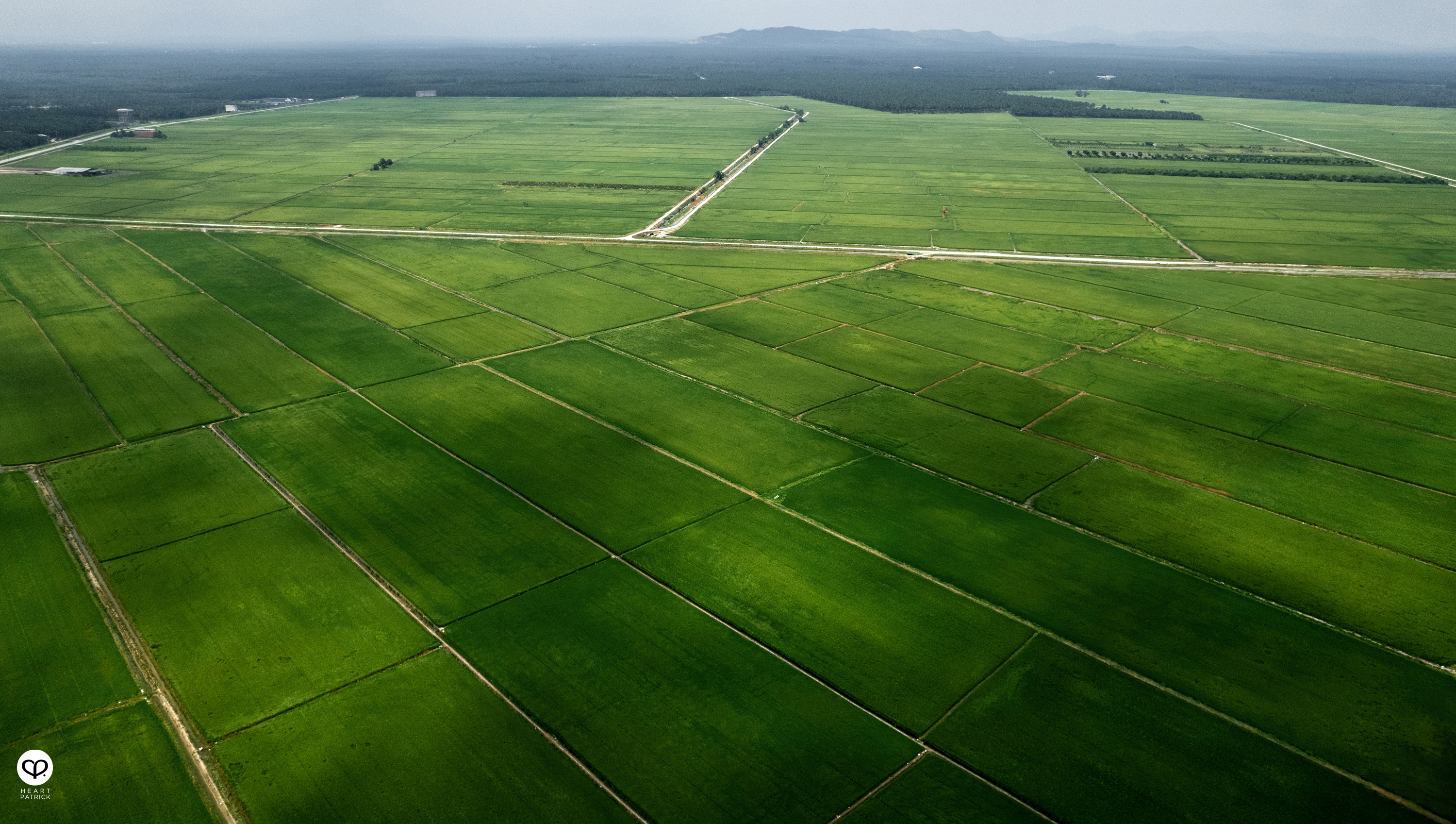 heartpatrick heritage smalltown exploring malaysia chui chak paddy fields perak