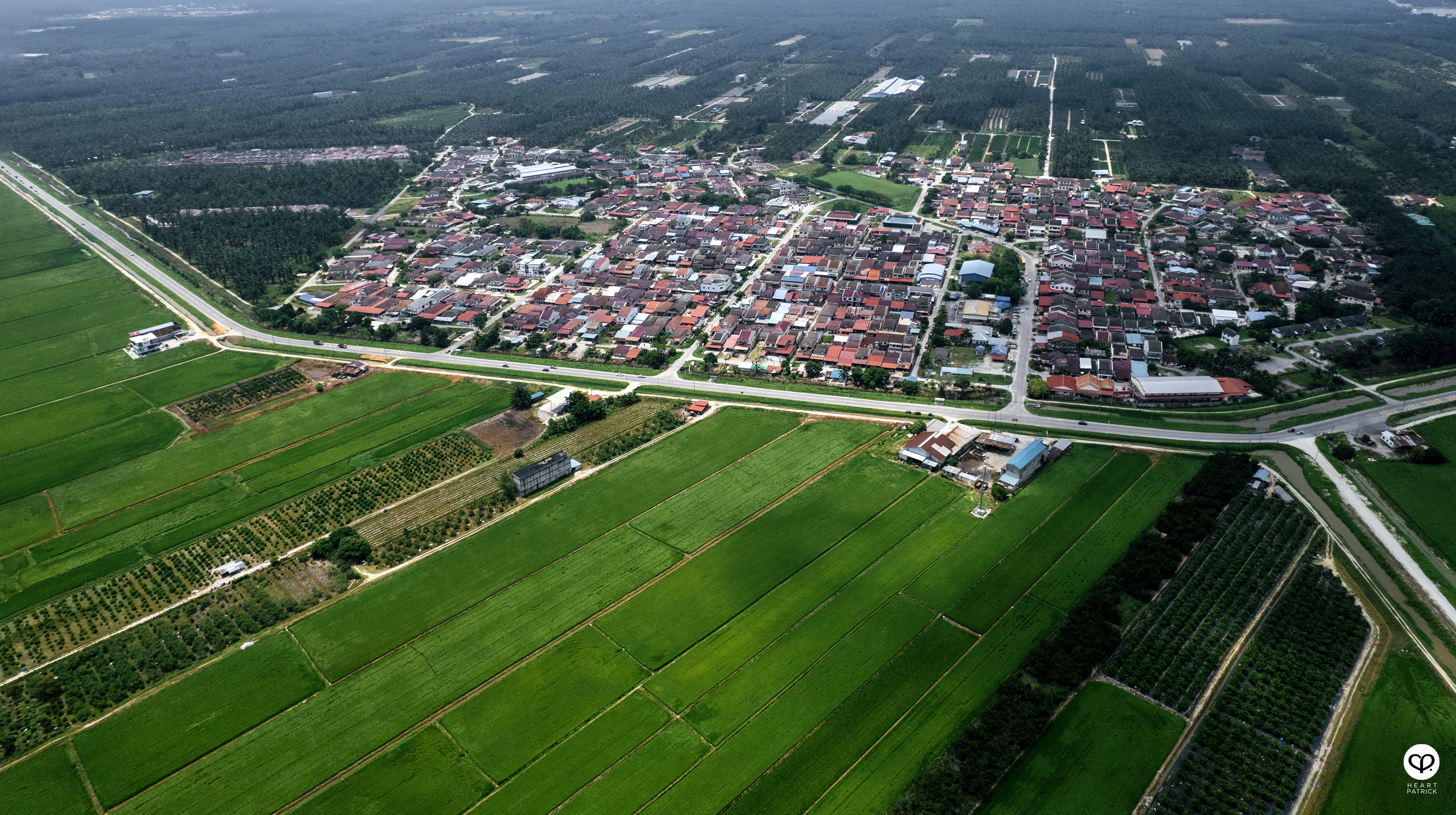 heartpatrick heritage smalltown exploring malaysia chui chak paddy fields perak