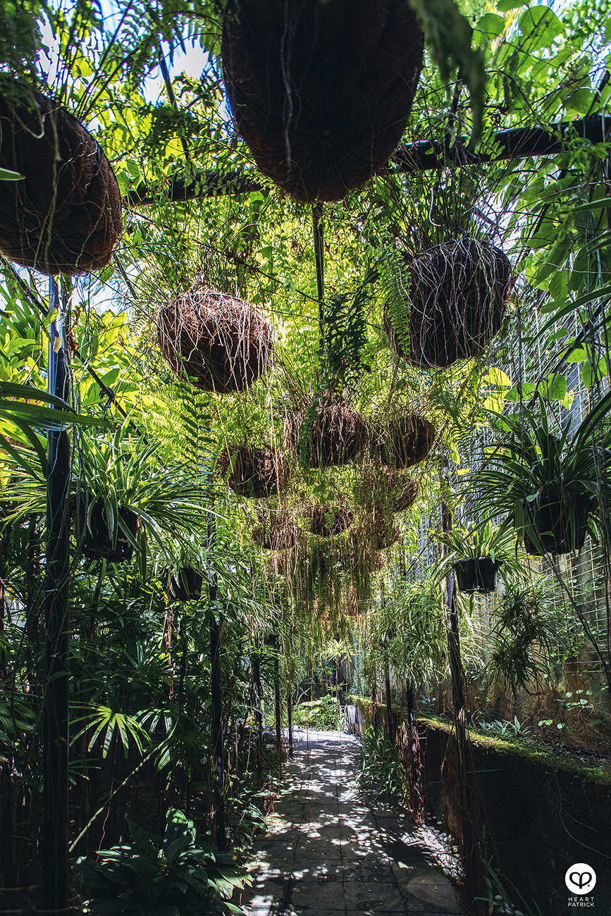 heartpatrick interior design architecture photography bungalow damansara heights designwilkes