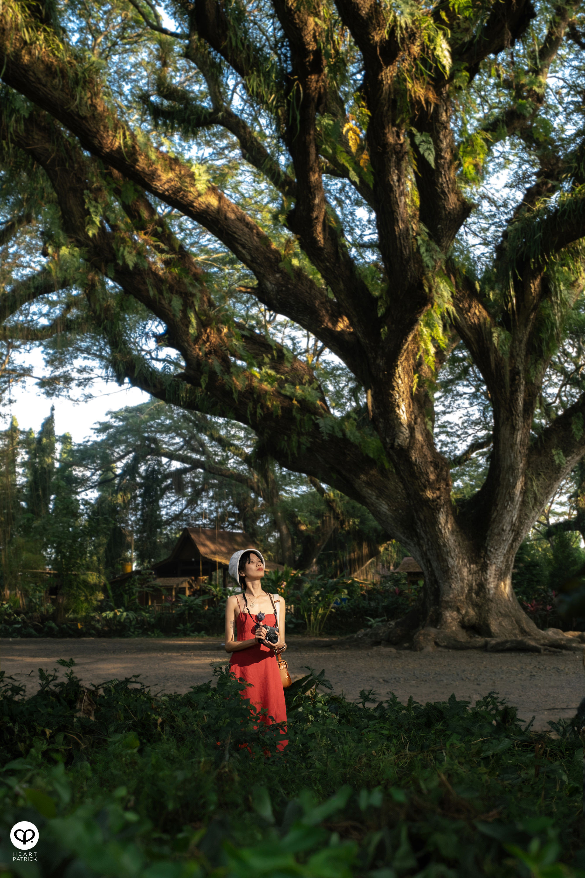 heartpatrick travel photography de djawatan east java