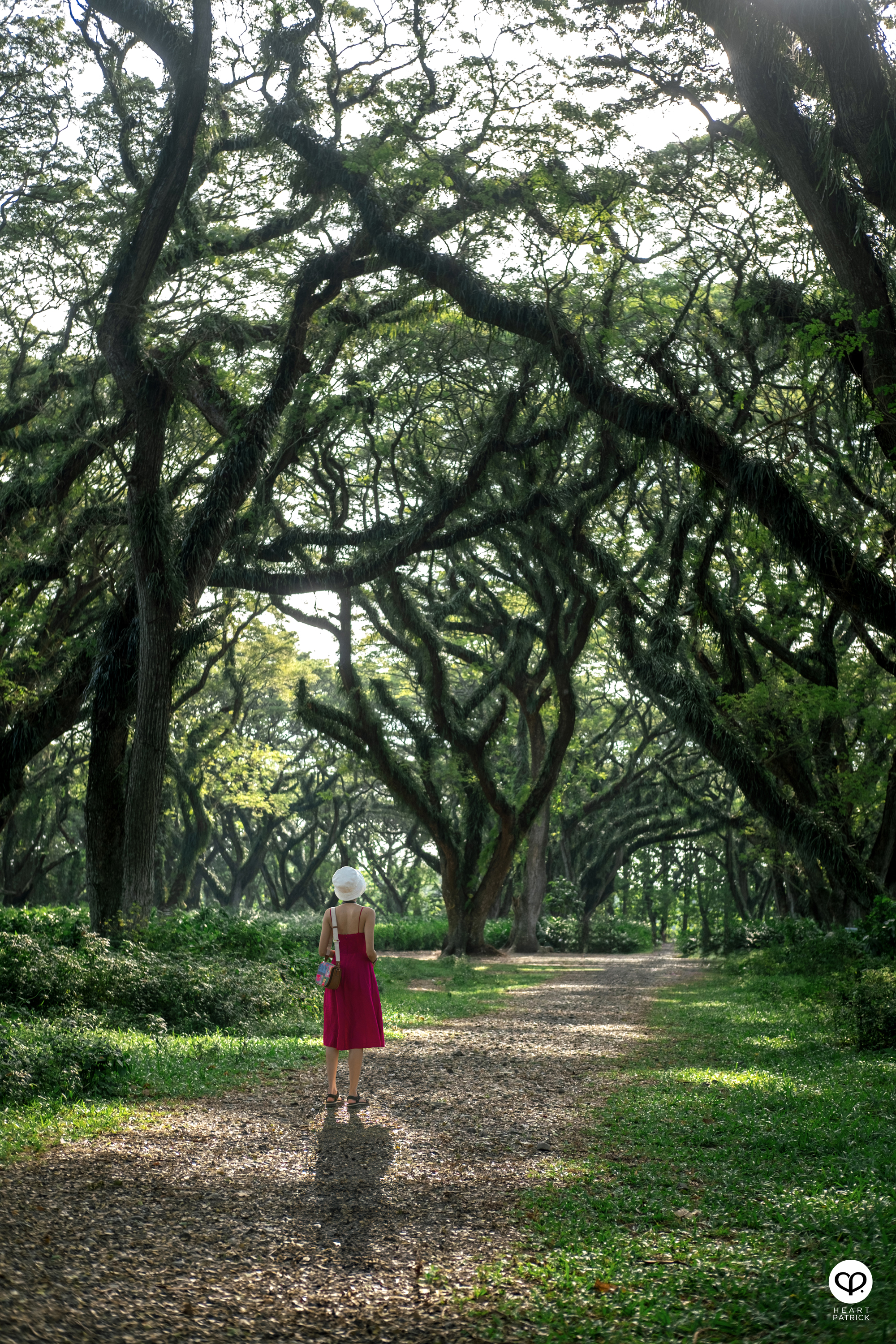 heartpatrick travel photography de djawatan east java