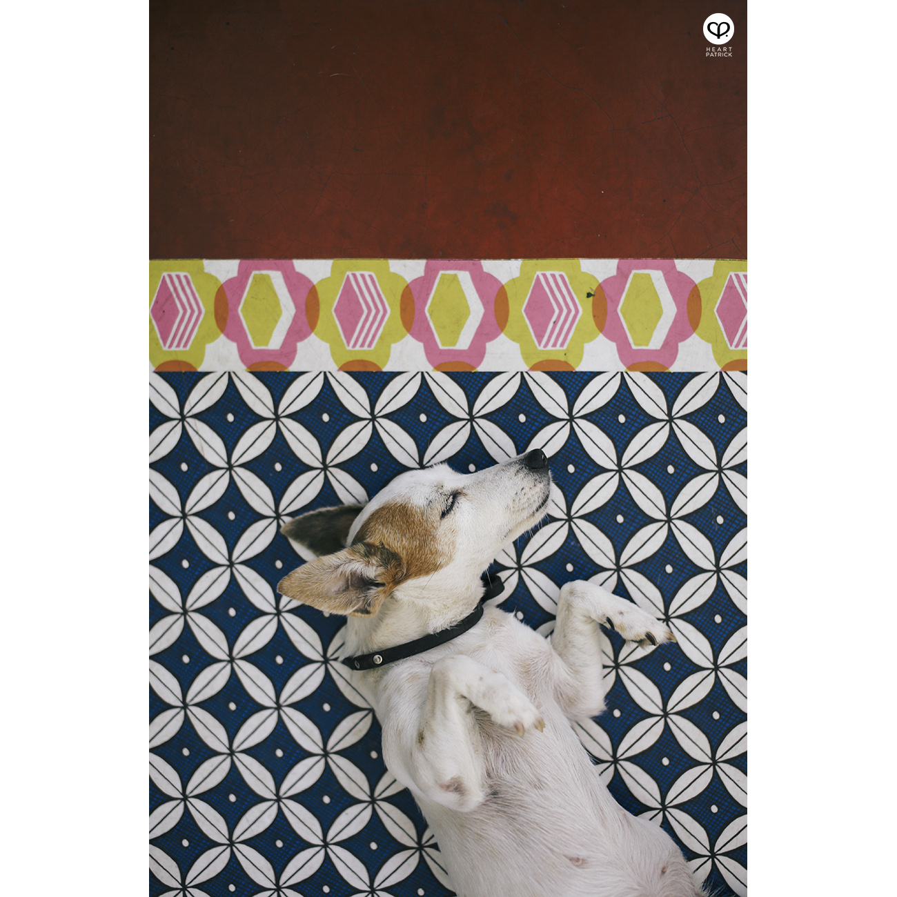 heartpatrick cafehopping dr.inc nala design bangsar