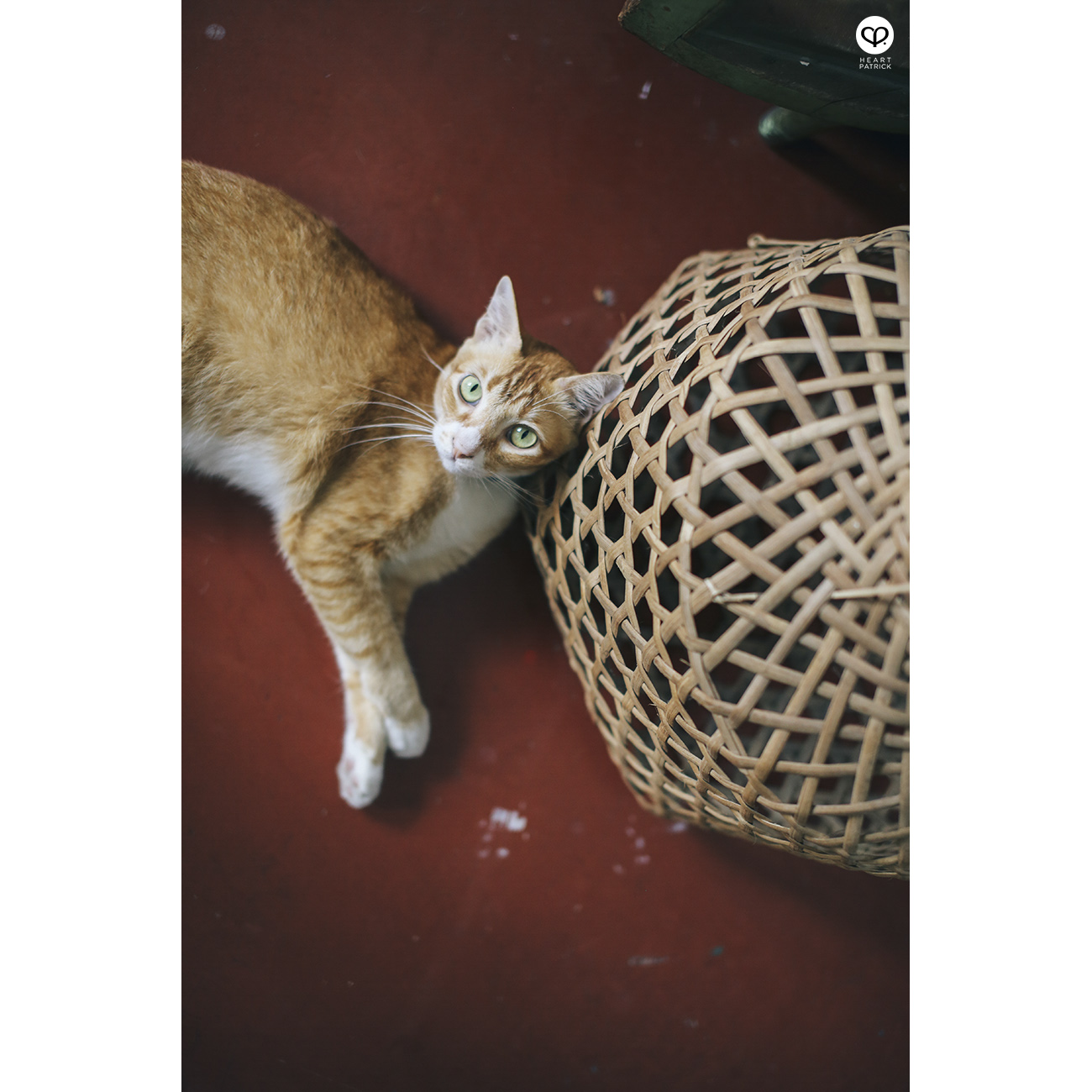 heartpatrick cafehopping dr.inc nala design bangsar