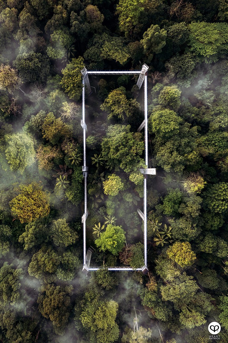 heartpatrick aerial photography urban exploring forest skywalk FRIM kepong