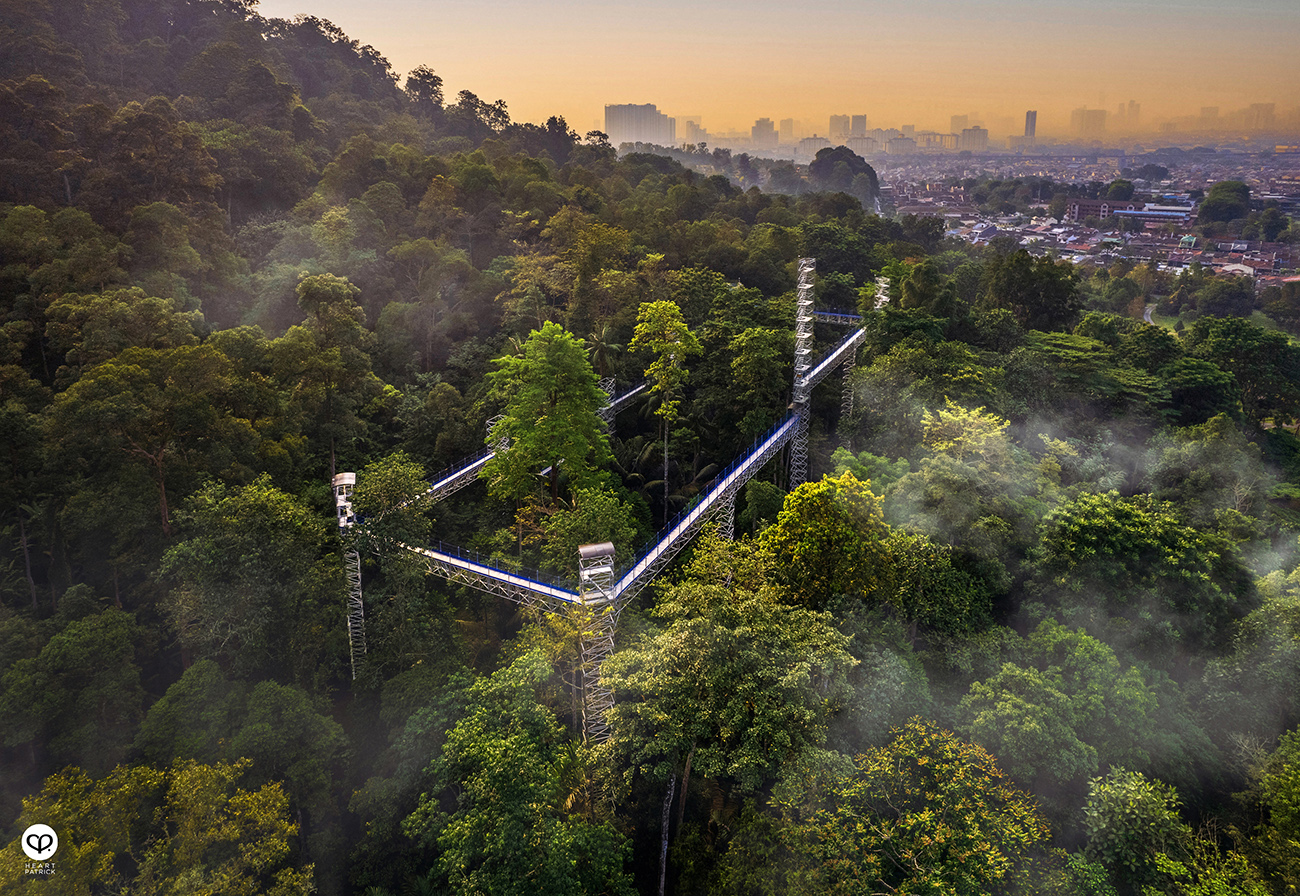 heartpatrick aerial photography urban exploring forest skywalk FRIM kepong