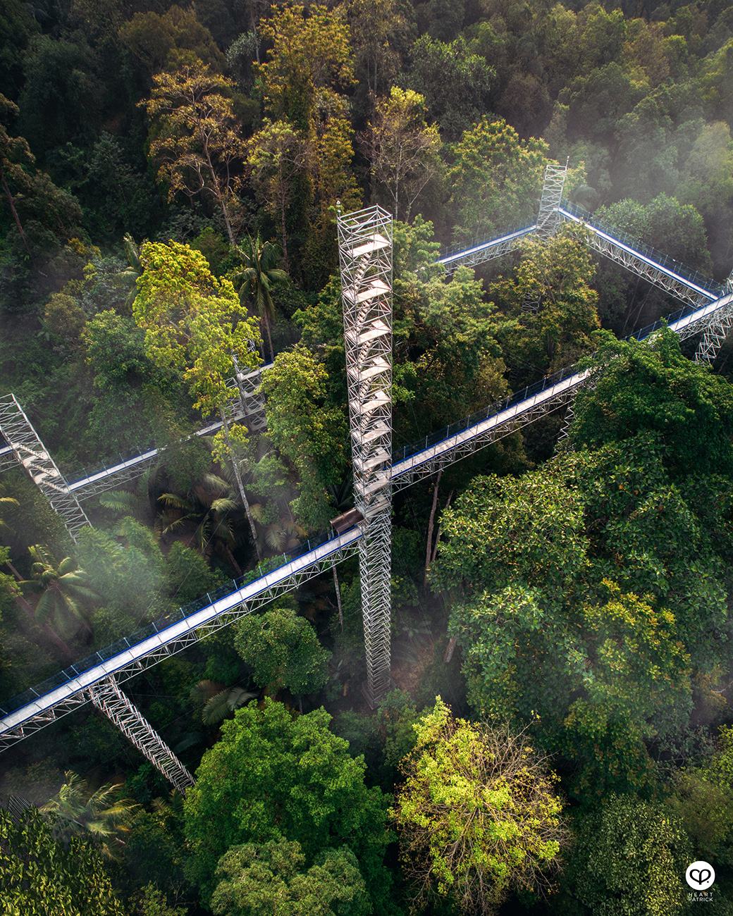 heartpatrick aerial photography urban exploring forest skywalk FRIM kepong