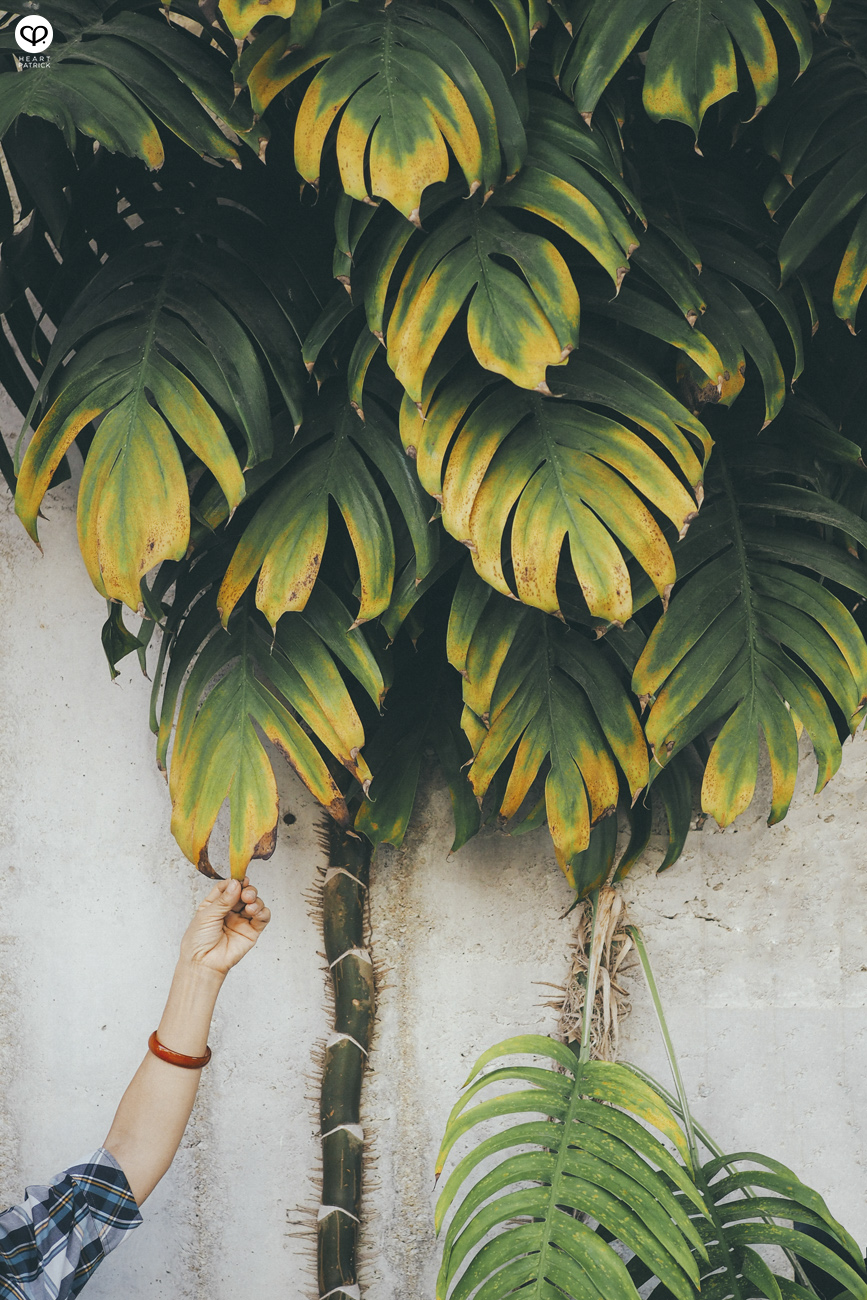 heartpatrick urban explorer georgetown penang