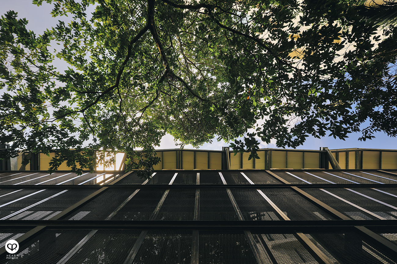 heartpatrick spaces architecture interior greenhouse by muir jalan ampang kuala lumpur