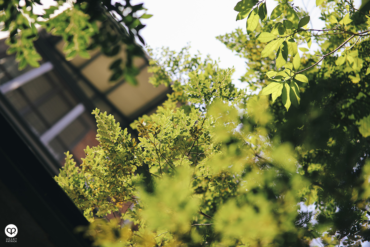 heartpatrick spaces architecture interior greenhouse by muir jalan ampang kuala lumpur