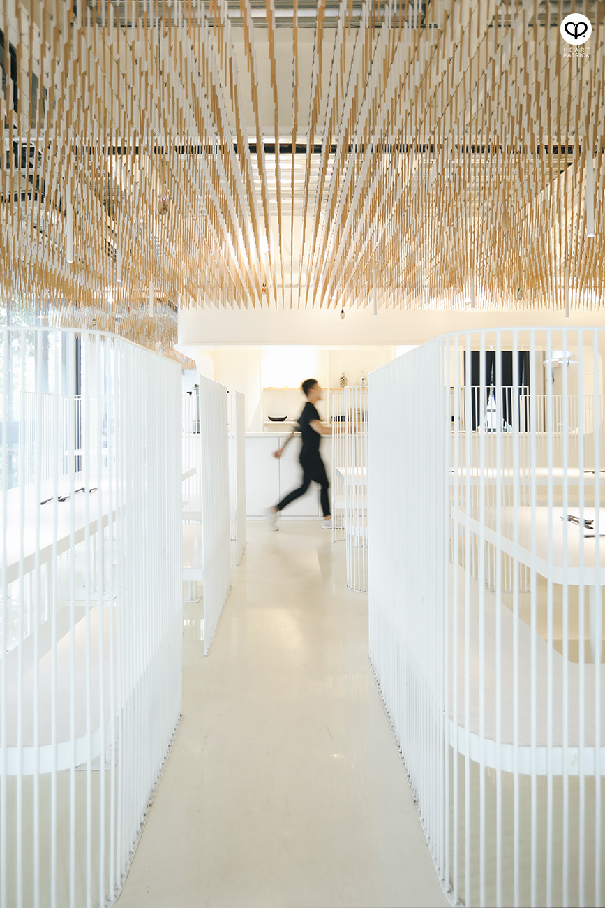 heartpatrick spaces architecture interior greenhouse by muir jalan ampang kuala lumpur