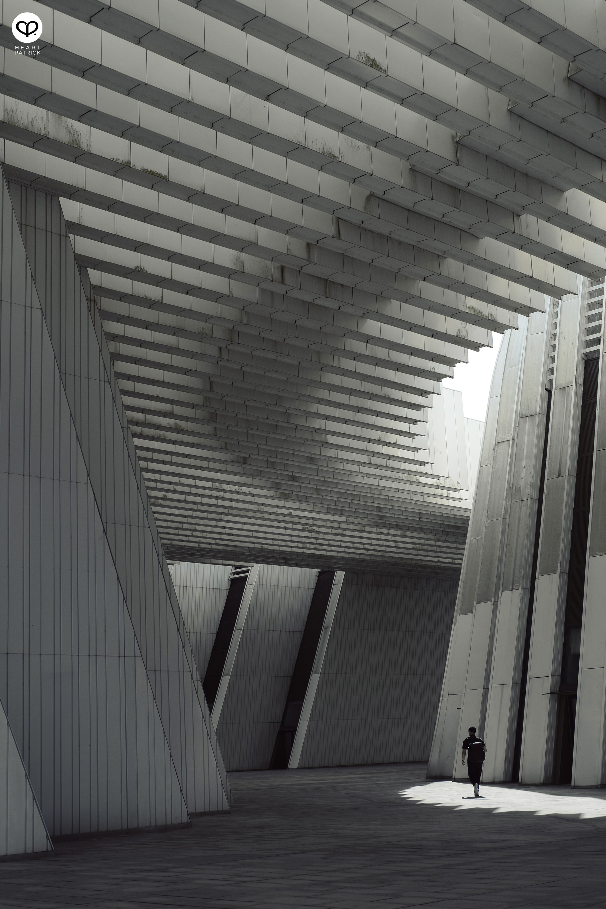 heartpatrick guangxi culture art center nanning gmp architects architecture photography