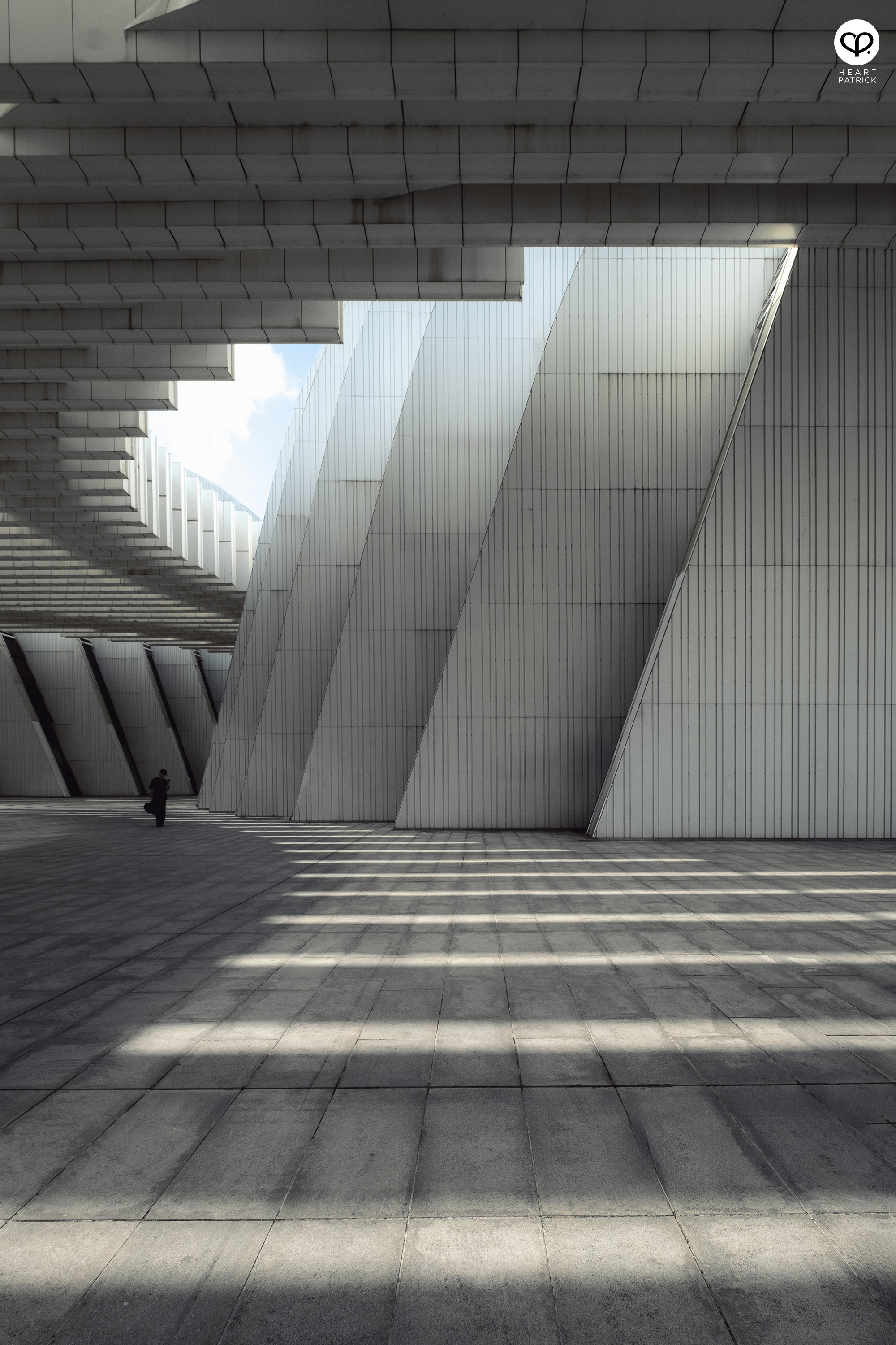 heartpatrick guangxi culture art center nanning gmp architects architecture photography