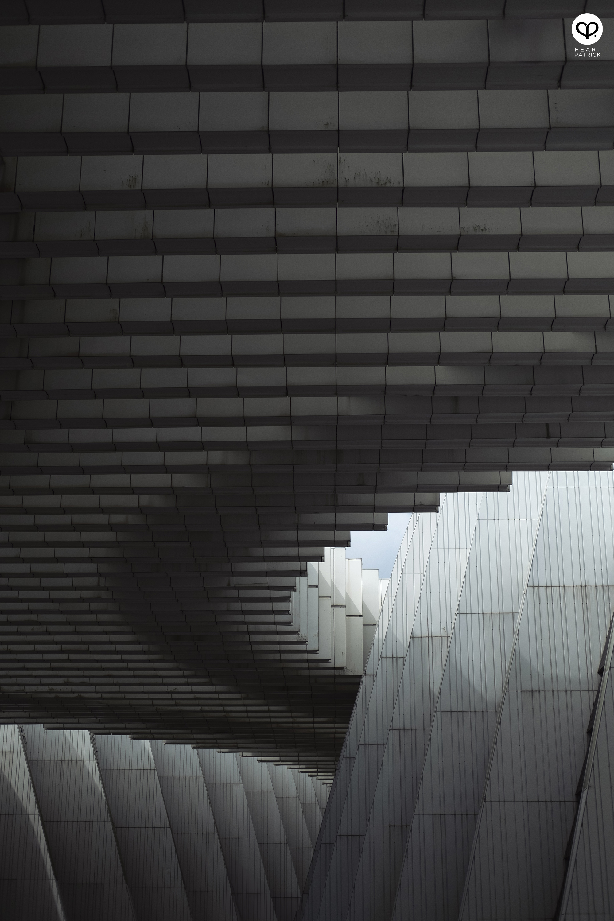 heartpatrick guangxi culture art center nanning gmp architects architecture photography