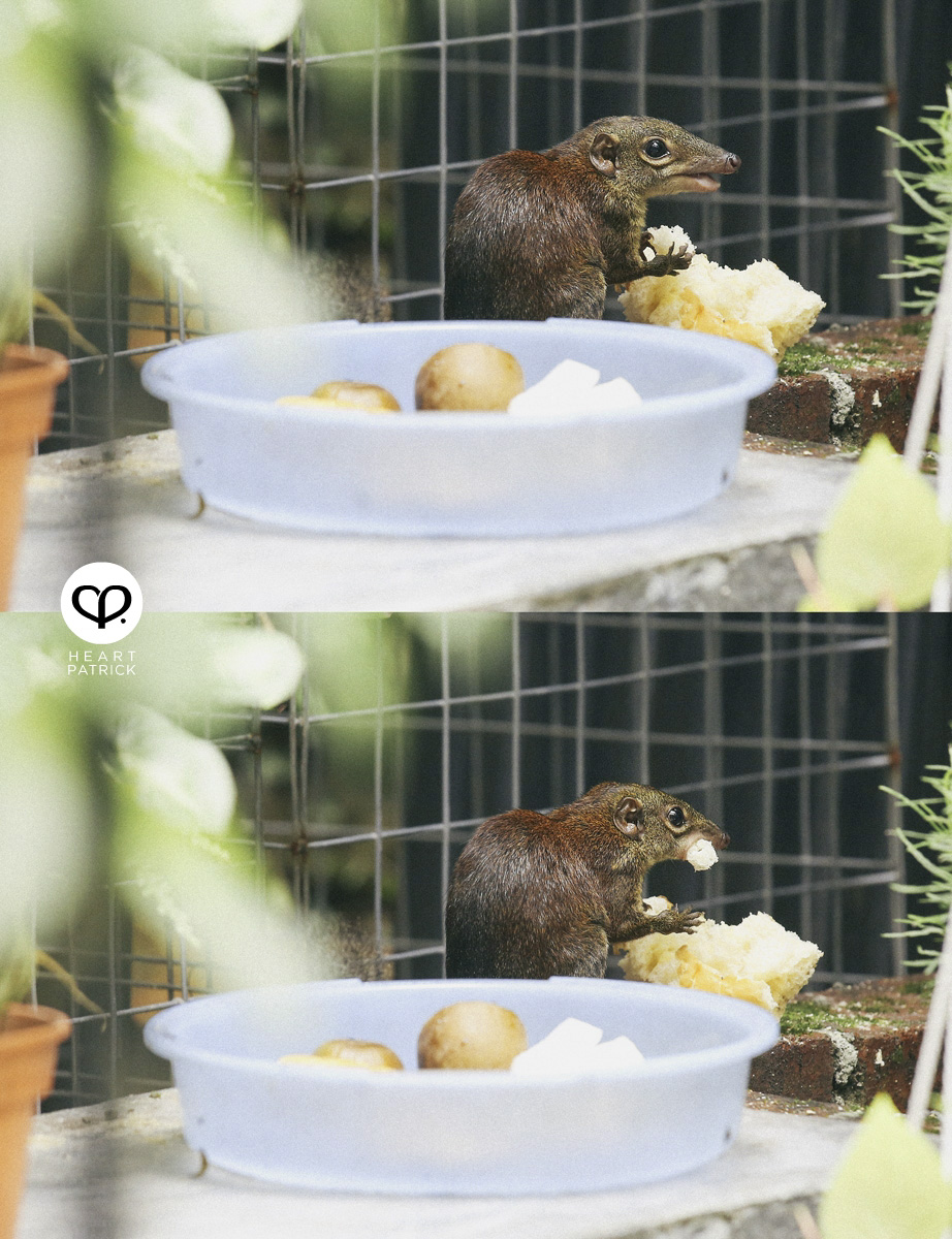 heartpatrick heartifacts industrial vintage furniture renovations