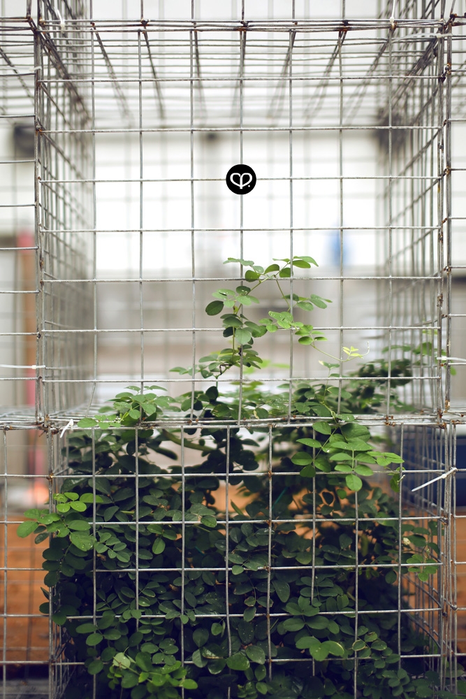 heartpatrick heartifacts industrial vintage furniture renovations